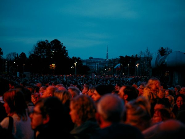 Avis sur momox : la vente rapide de vos vieux articles