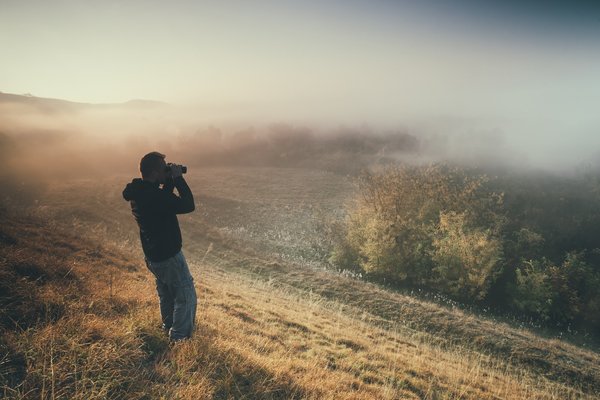 Comment les thèmes de la nature sont-ils explorés dans la poésie romantique anglaise ?