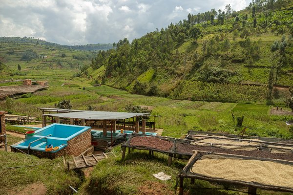 Comment utiliser le recyclage créatif pour décorer votre espace de travail?